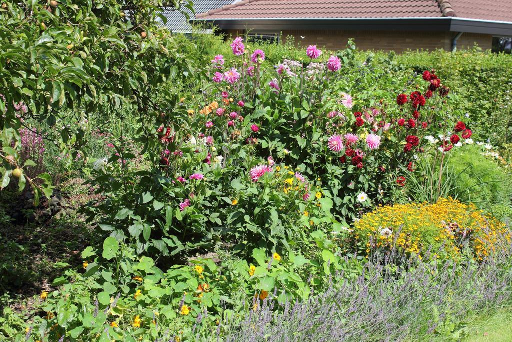 Svendborg Rooms & Apartments Εξωτερικό φωτογραφία